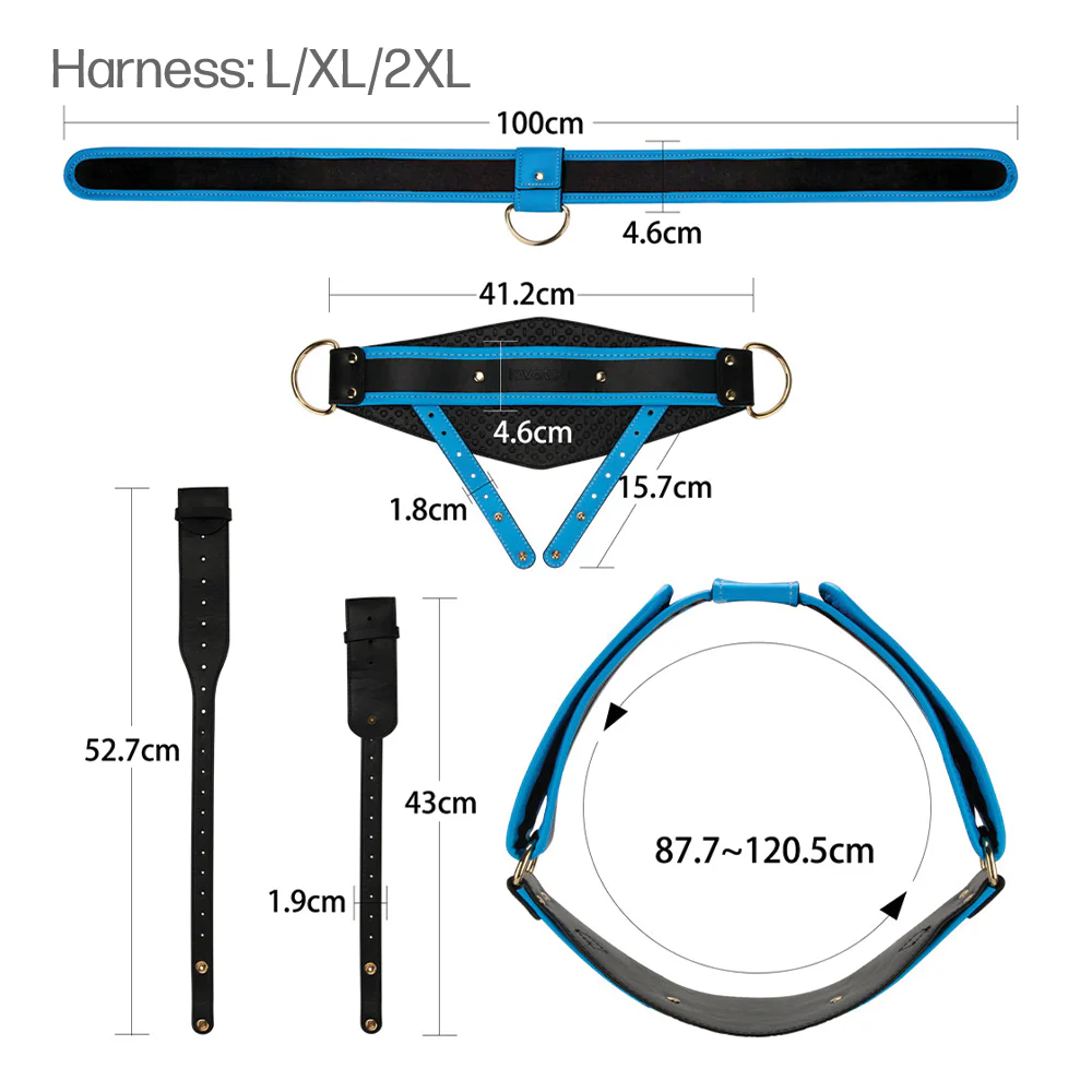 Lovetoy Ingen 9" Enhanced Unisex Hollow Silicone Strap-On Set - Image 12