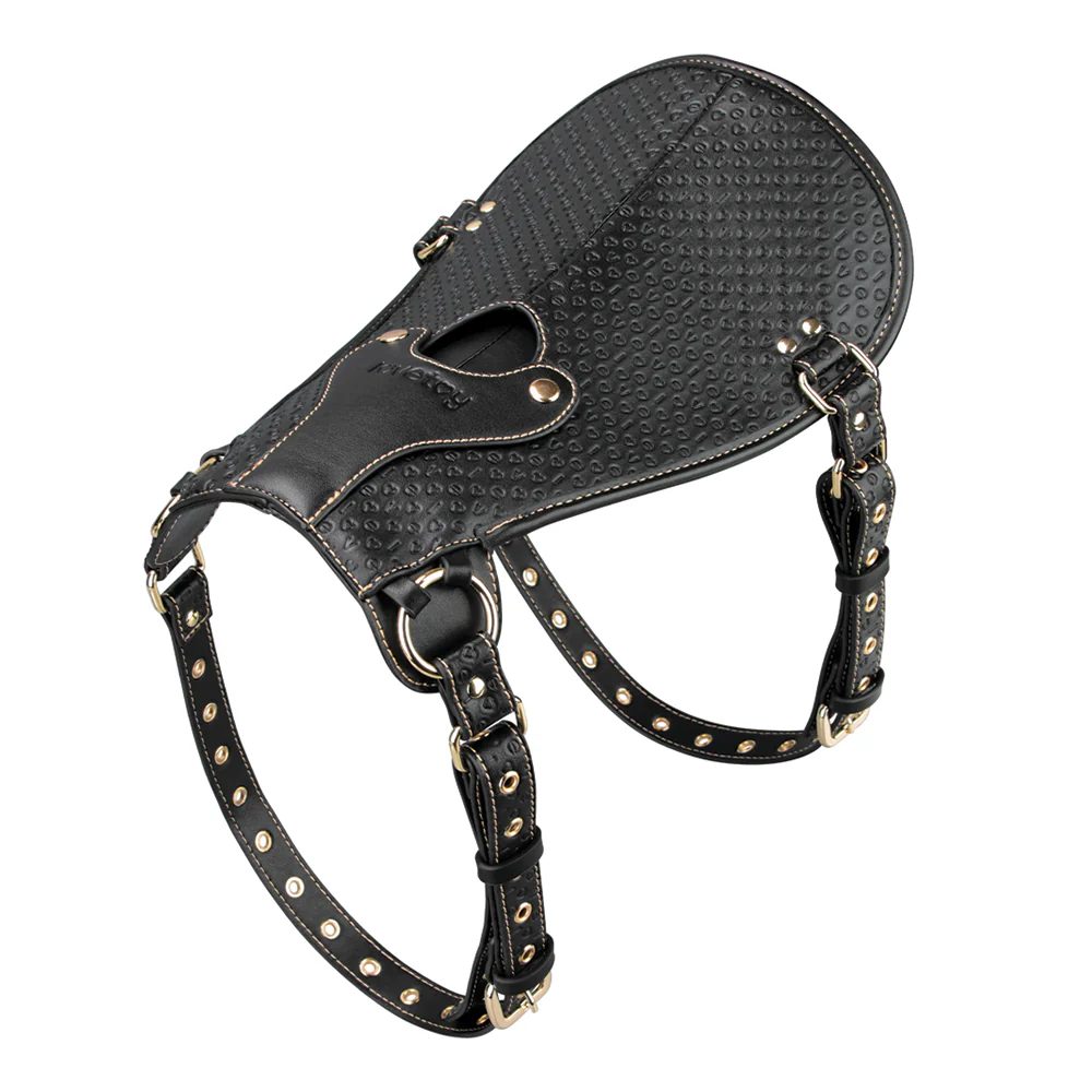 Lovetoy Rebellion Reign Strap-On Saddle Harness