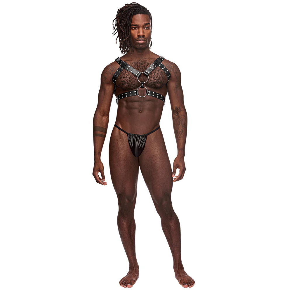 Male Power Gemini Reversible Faux Leather Chest Harness - Image 3