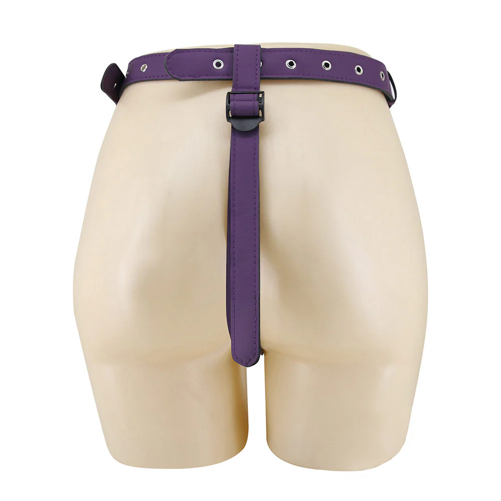 Pretty Love Caludio III Suction Cup Strap-On Thong Harness - Image 3