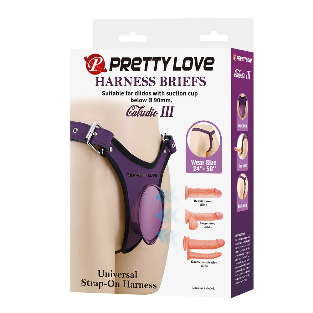 Pretty Love Caludio III Suction Cup Strap-On Thong Harness - Image 4