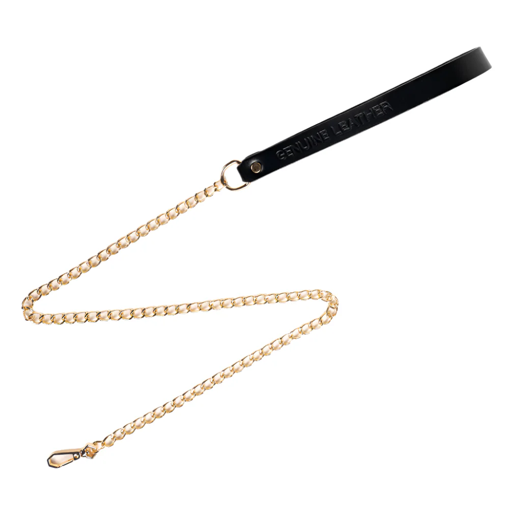 ZYL Genuine Leather & Chain Leash - Image 4