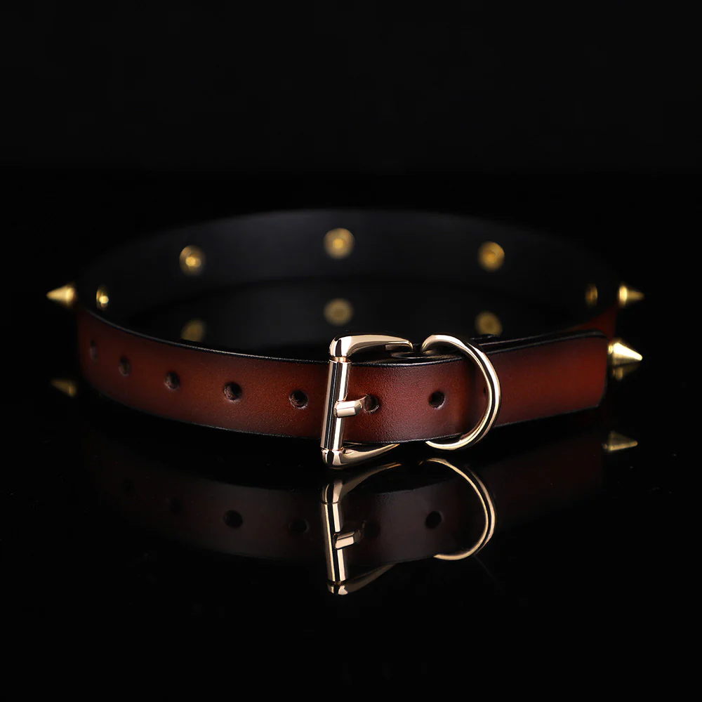 ZYL Genuine Leather Gold Spiked Choker - Image 3