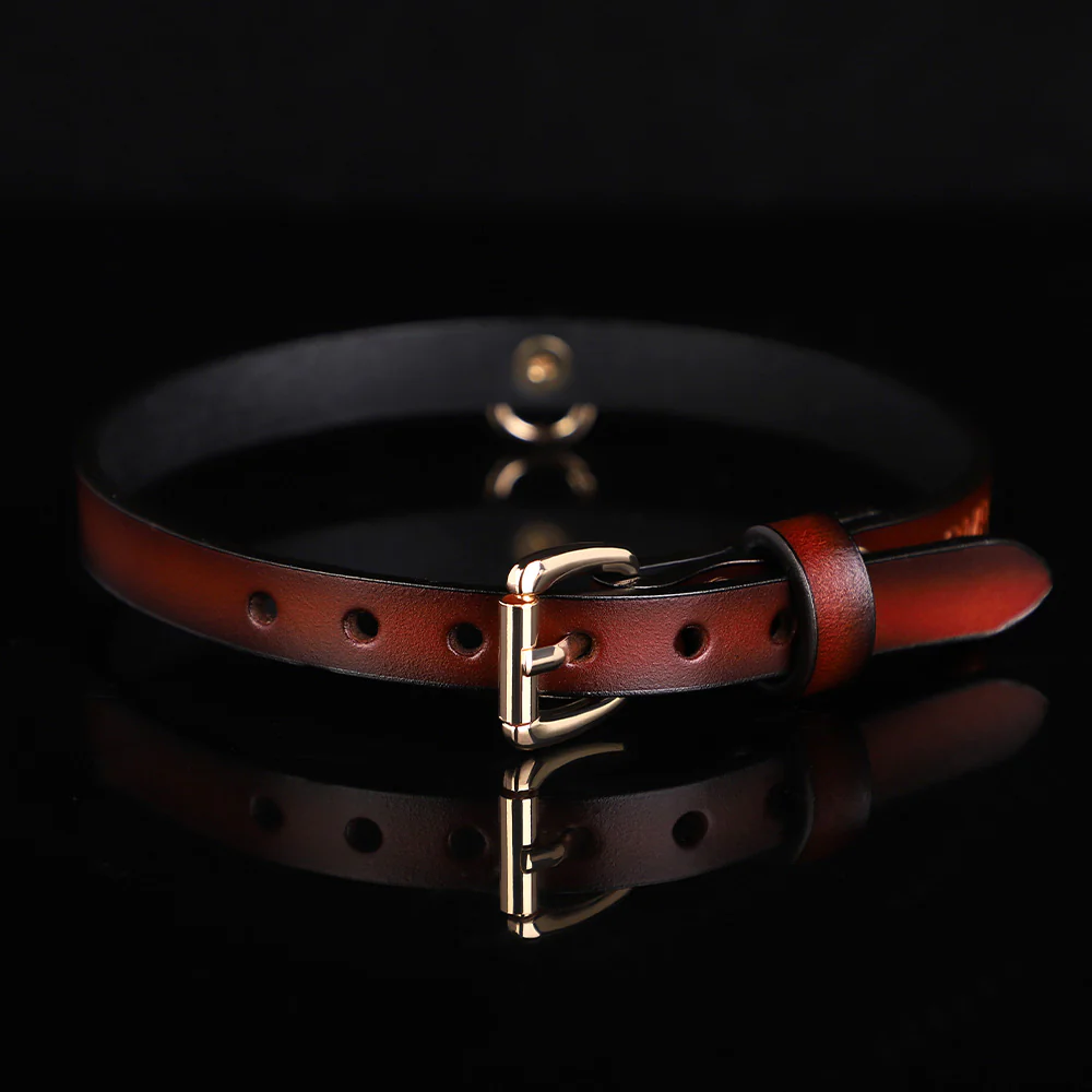 ZYL Slim Genuine Leather D-Ring Day Collar - Image 3